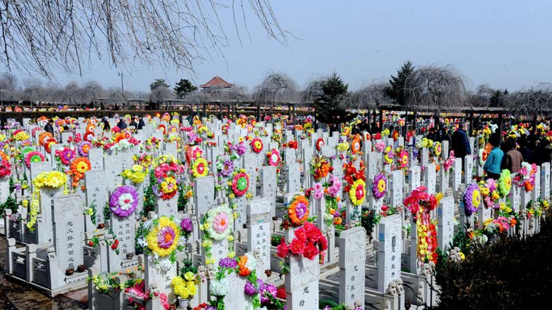 mayday2000.org